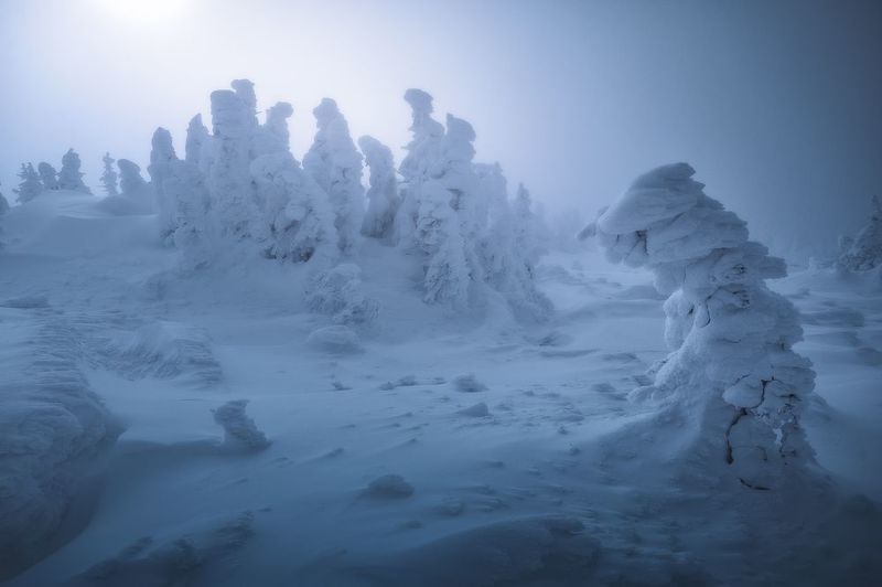 Зимний сонphoto preview