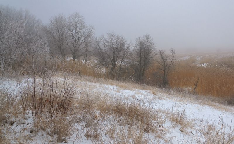 В тумане.photo preview