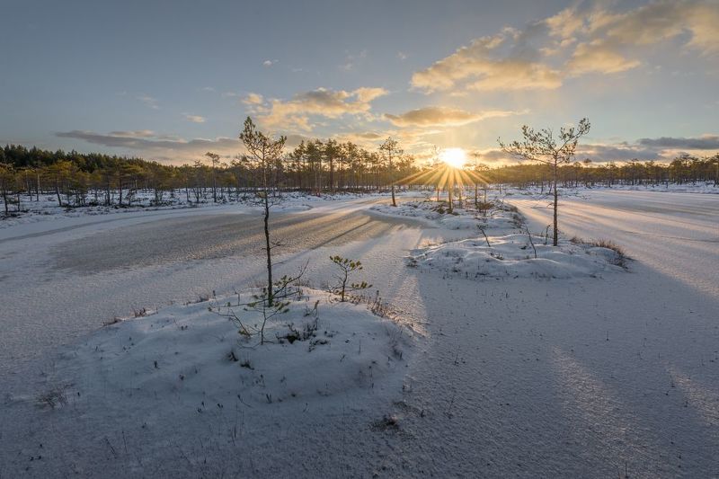 болото, ленинградская область Первый снег на болотах Ленобластиphoto preview