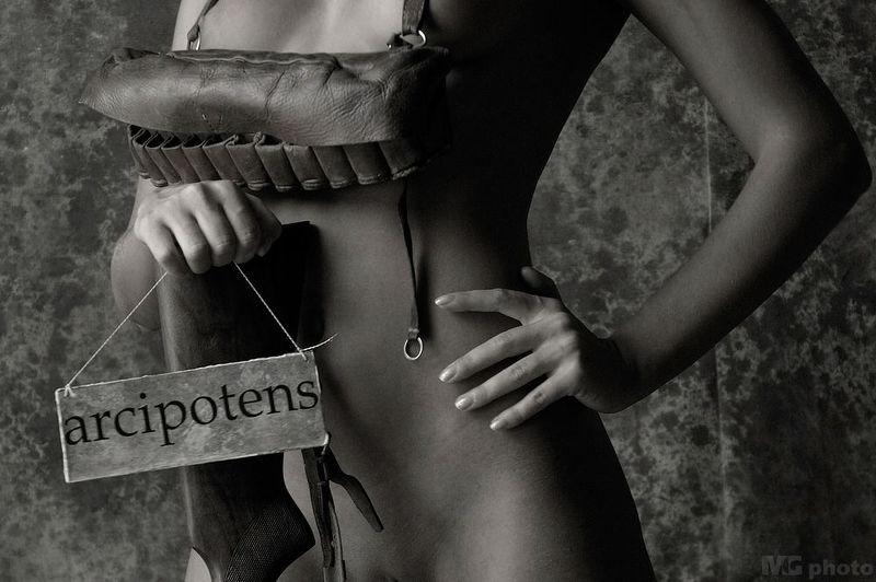 Sagittarius #02photo preview