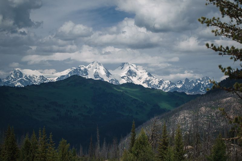 ее величество белуха photo preview