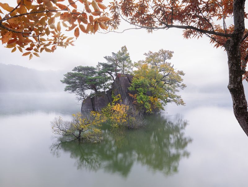 Foggy Busodamakphoto preview