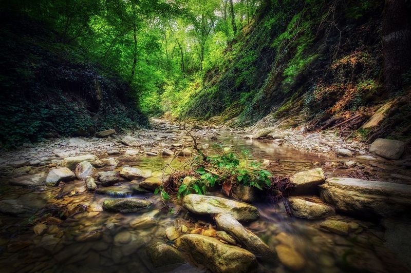 По дороге к водопадуphoto preview