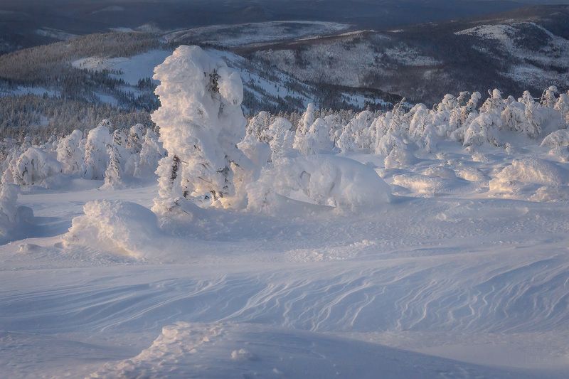 аргыджек, зима, сибирь, красноярский край, манский район, снег, елки в снегу Аргыджекphoto preview