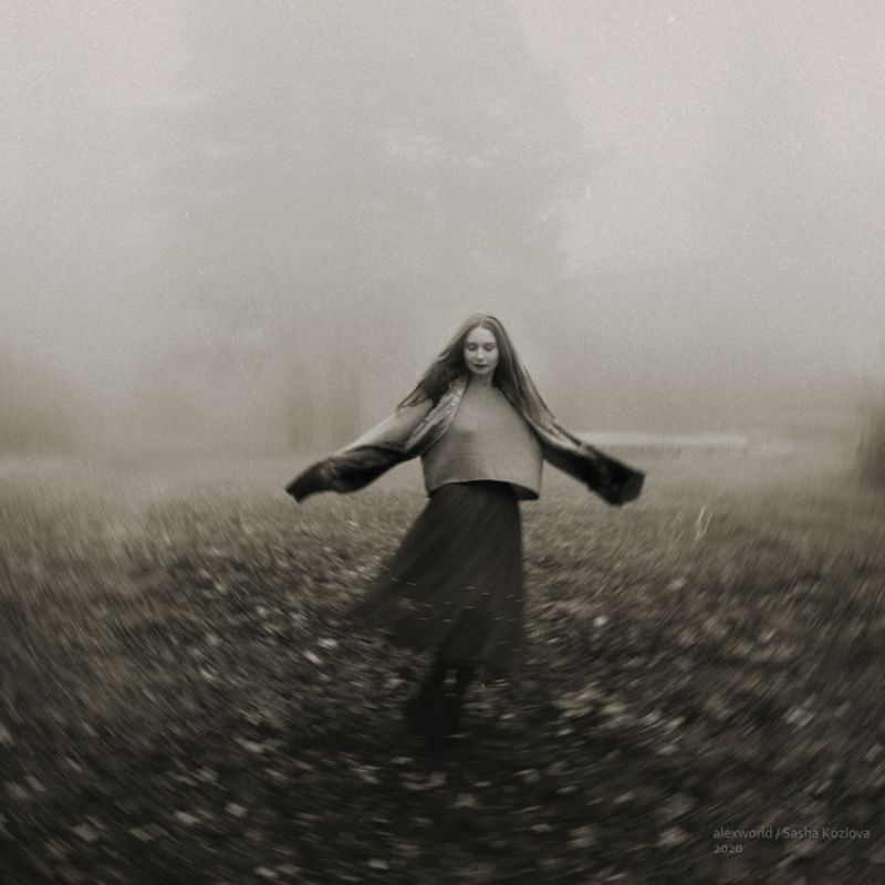 Untitledphoto preview