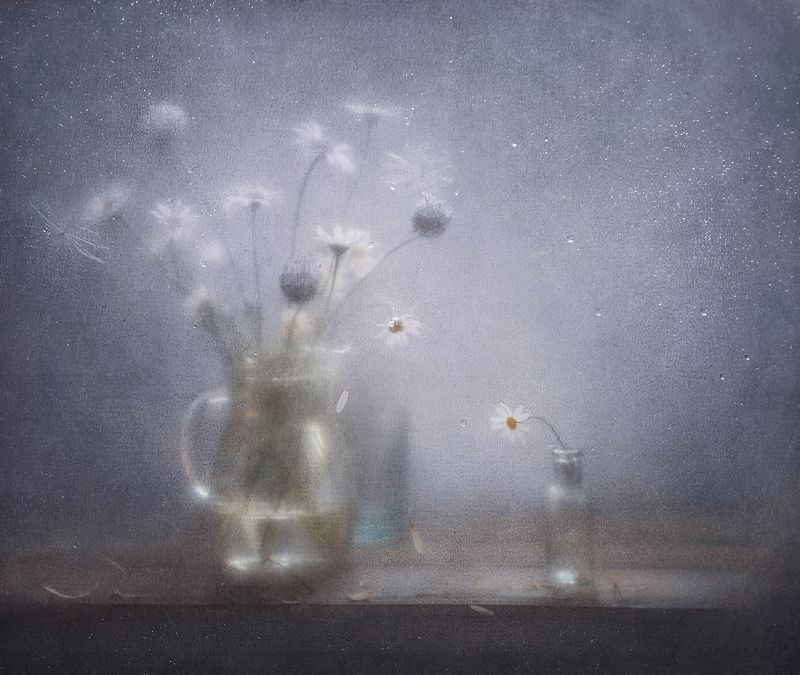 натюрморт, цветы, ромашки Холодной нежности дыханиеphoto preview