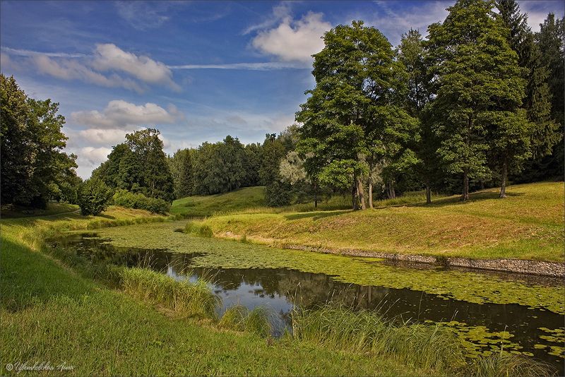 павловск, лето Летним днем в Павловскеphoto preview
