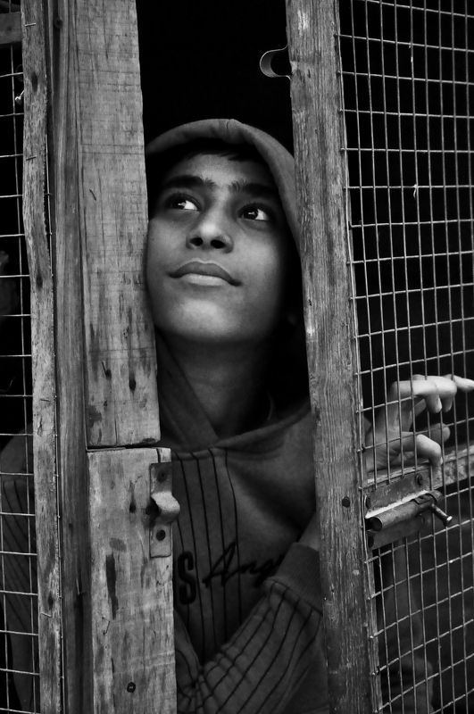 Hey, there\'s hope the next horizon might be betterphoto preview