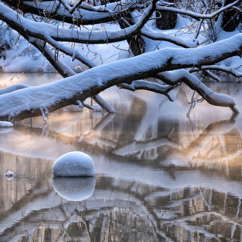 Дерево, Зима, Озеро, Отражение, Протока, Снег, Шатура Шатурские отраженияphoto preview