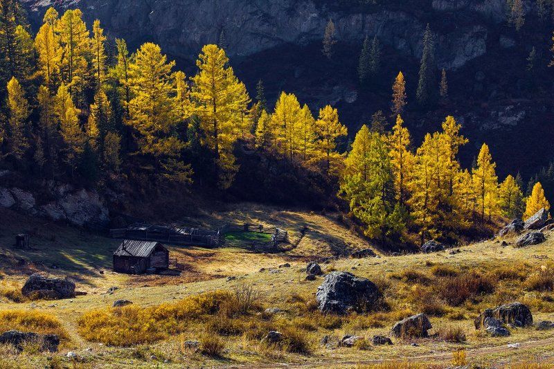 СУРОВЫЙ БЫТ В КРАЮ ВЕЛИКАНОВ.photo preview