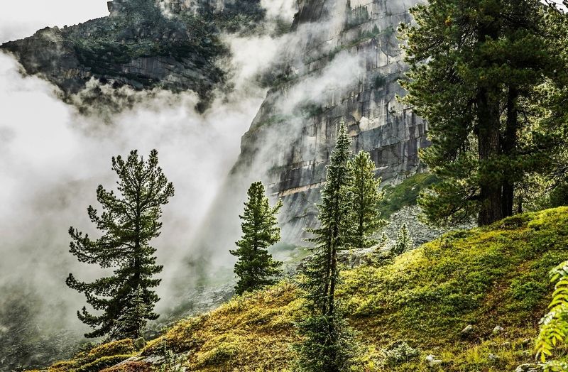 по спинам скал туман клубилсяphoto preview