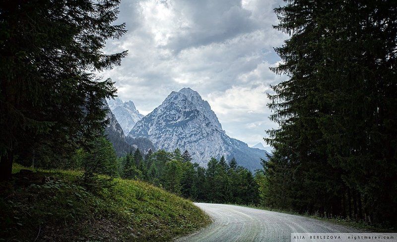 Альпы, Бавария, Германия, Горный пейзаж, Горы, Дорога, Лес .photo preview