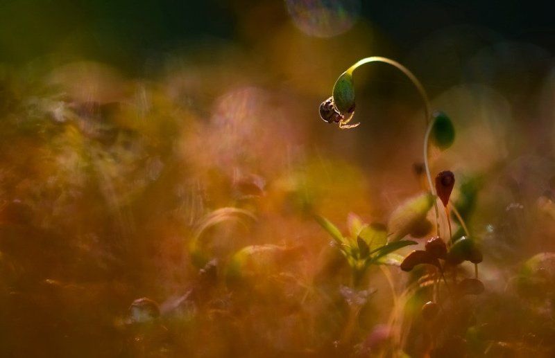 Сезон охоты.photo preview