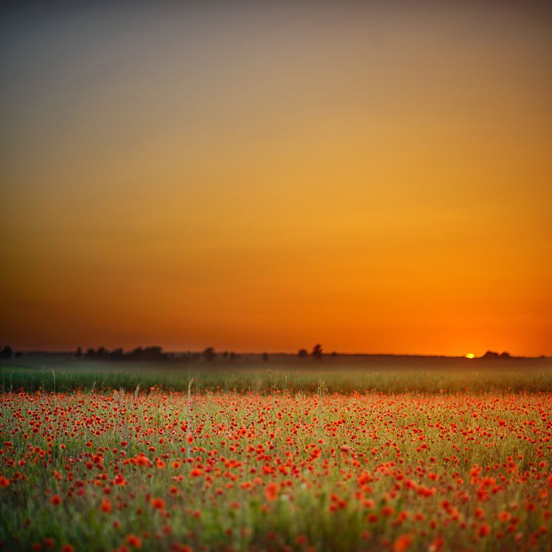 Remigijus Grubinskas, Lithuania