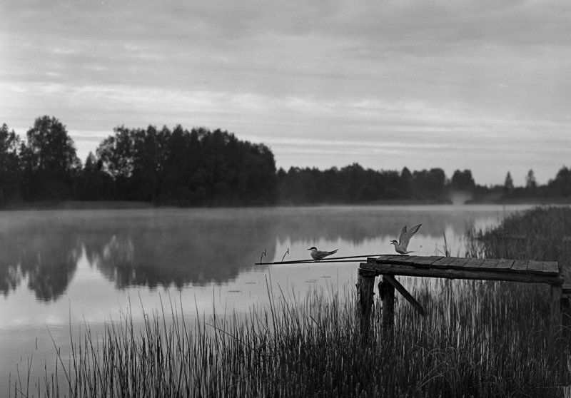 Mikalai, Belarus