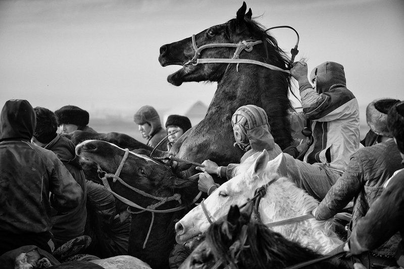 Кокпар.photo preview