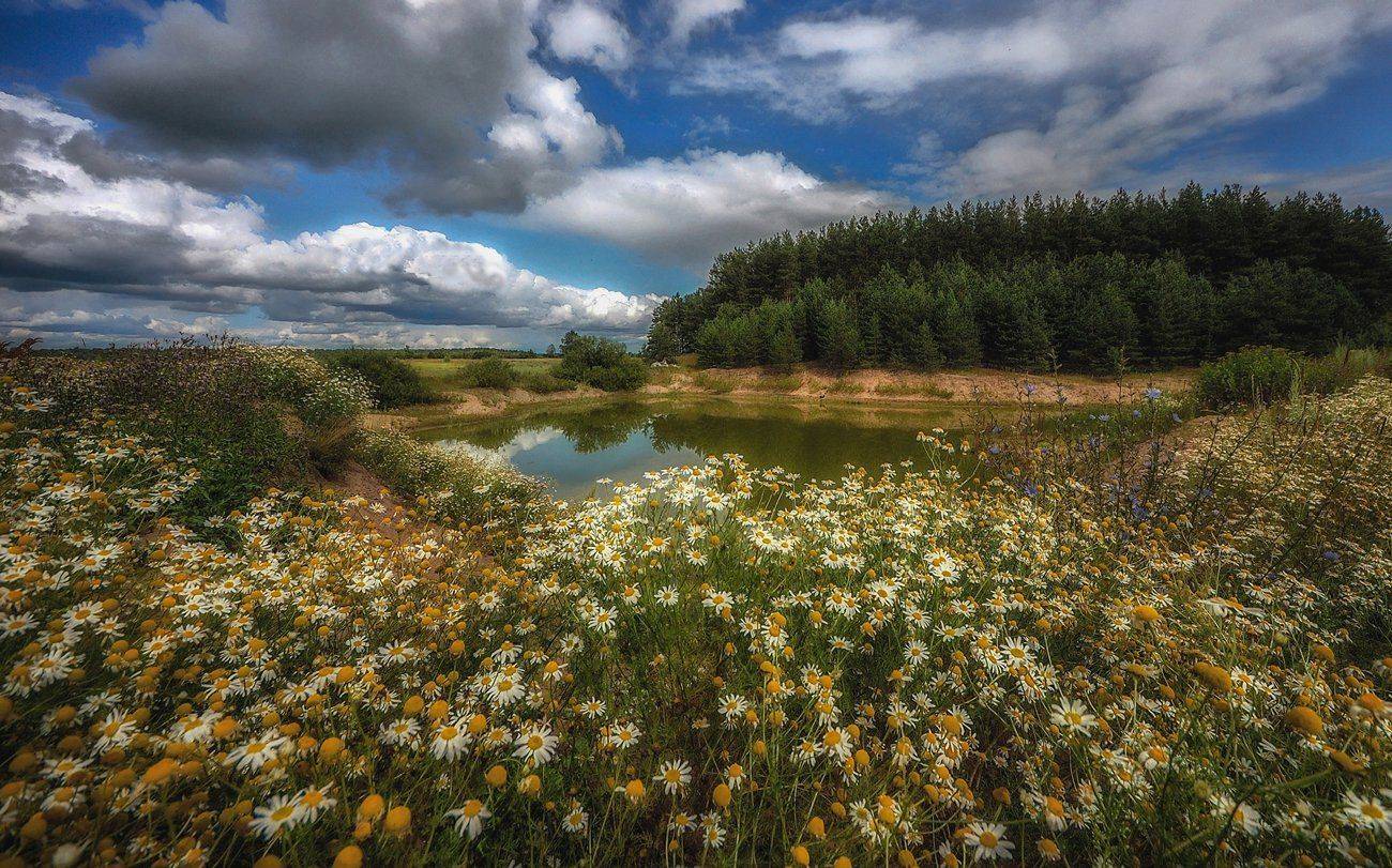Летний денёк.... Автор: Сергей (Bekr) , Сергей (Bekr)