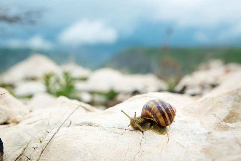 Маленький мирphoto preview