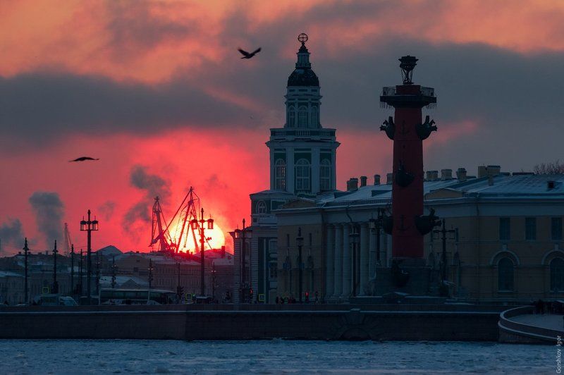 Архитектура, Закат, Зима, Кунсткамера, Мороз, Питер, Птицы, Ростральная колонна, Санкт-петербург Морозное питерское солнце уходит за горизонт фото превью