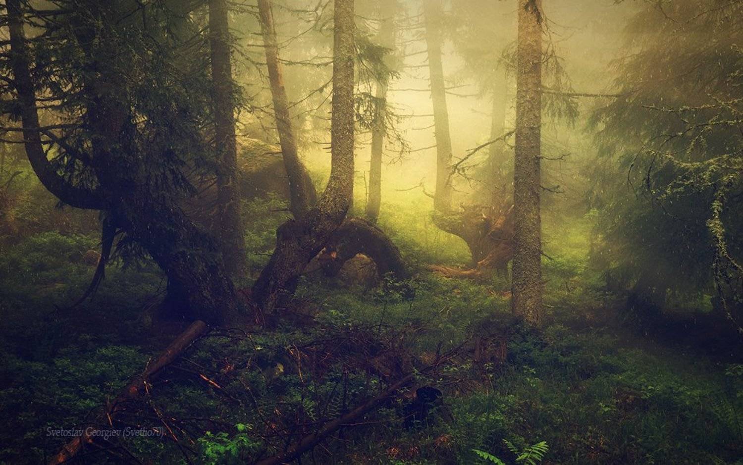 .. Автор: Svetoslav Georgiev , Svetoslav Georgiev