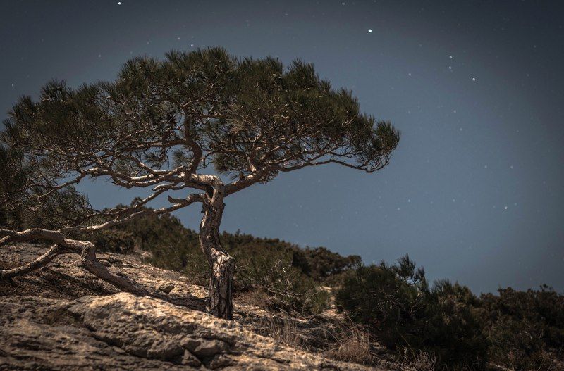 средь звезд photo preview