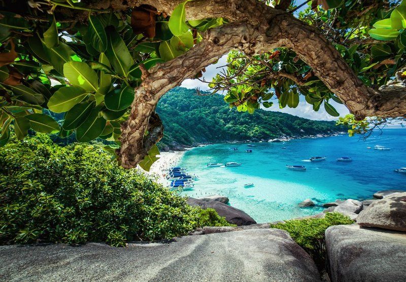 С дальних берегов...photo preview