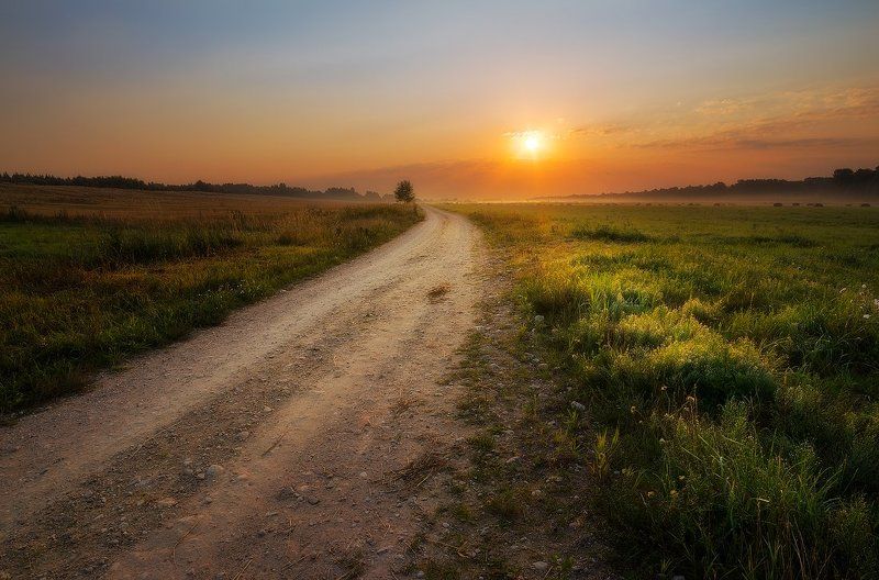 Light, Meadow, Road, Summer, Sunrise Summer memoriesphoto preview