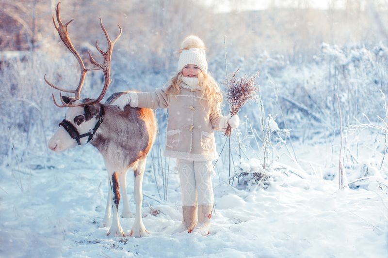 Зимняя сказкаphoto preview