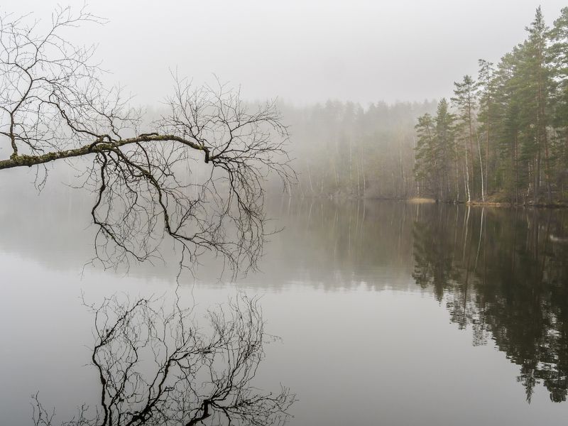 Утро в Карелииphoto preview