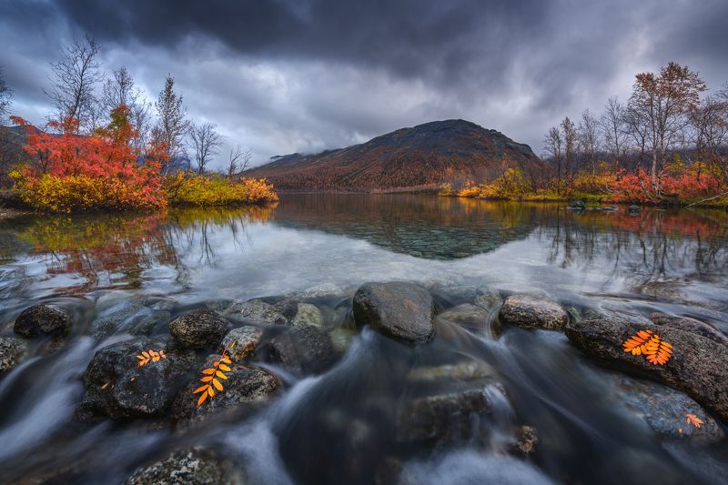 Поздняя осень...photo preview