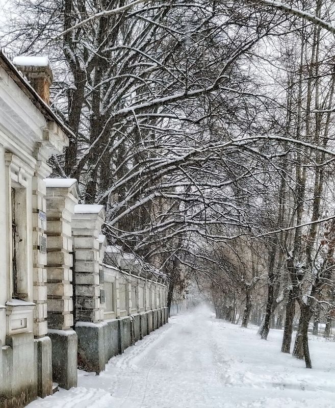 Зимняя зарисовка....photo preview