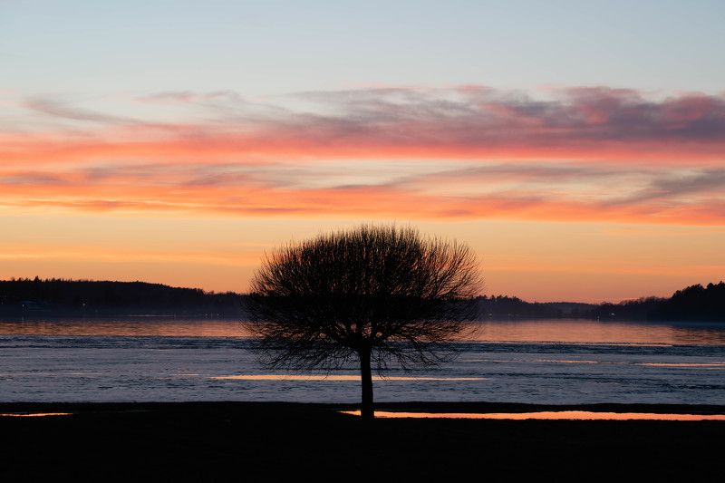 дерево, закат, озеро, весна Весенний вечерphoto preview