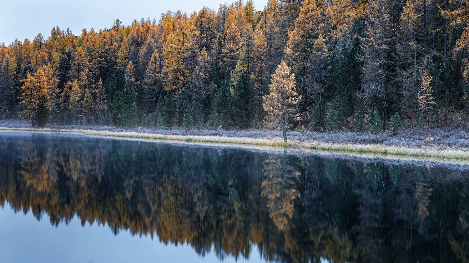 , Загруев Михаил