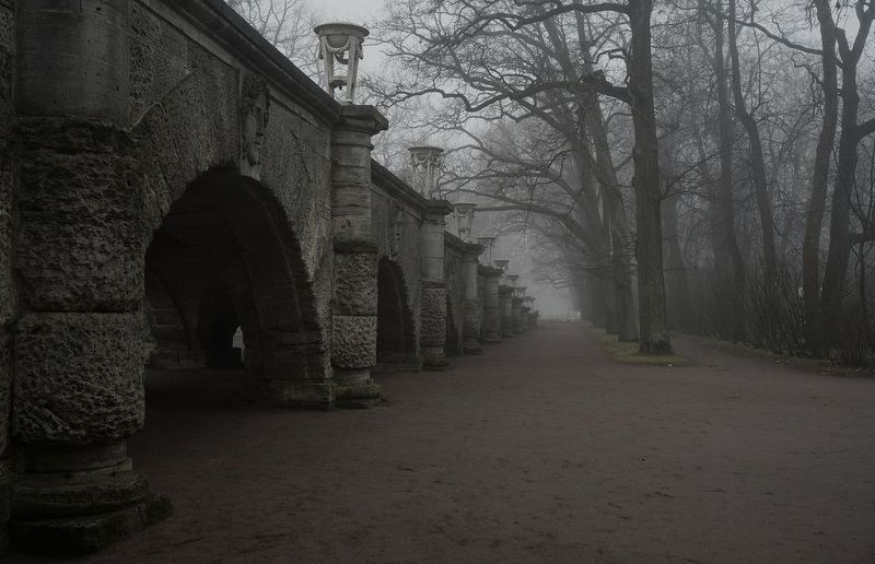 A morning in Novemberphoto preview