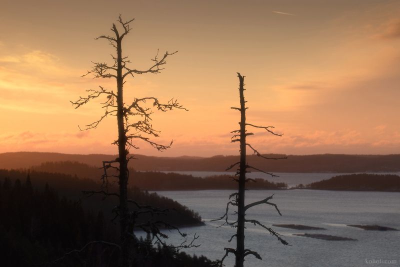 карелия, северное приладожье, сортавала, кирьявалахти, ристиниеми, ладожское озеро Северное Приладожье. Декабрь.photo preview