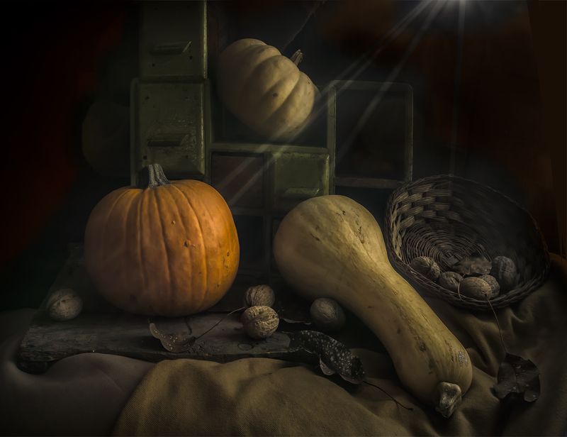 WINTER, STILL LIFE, HOME WINTER SUN RAYSphoto preview