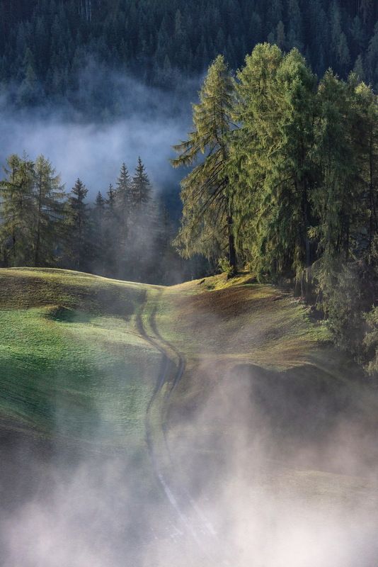 Утро в Альпахphoto preview