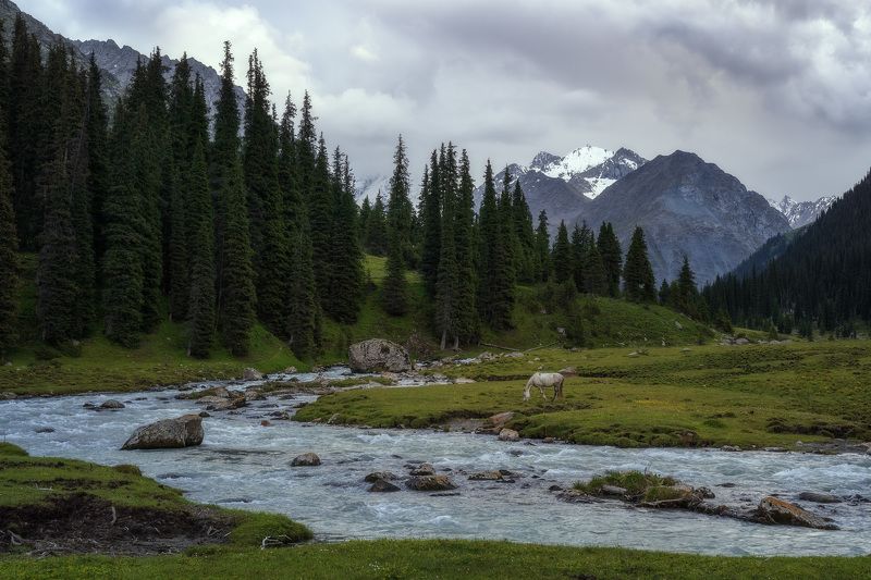 Пасмурный пейзажphoto preview