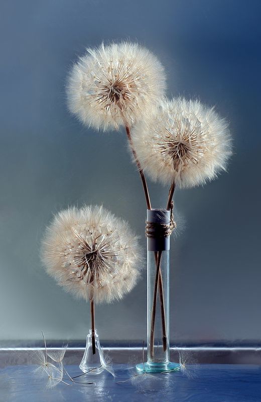 Вот и лето прошло...photo preview