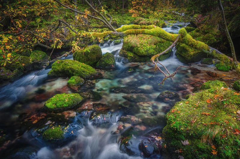 горизонтальный, нет людей, фотография, на улице, отражение, горизонт, вода, река, панорамный, пейзаж, знаменитое место, небо, набережная, туристические направления, путешествовать, Осенние Зарисовкиphoto preview