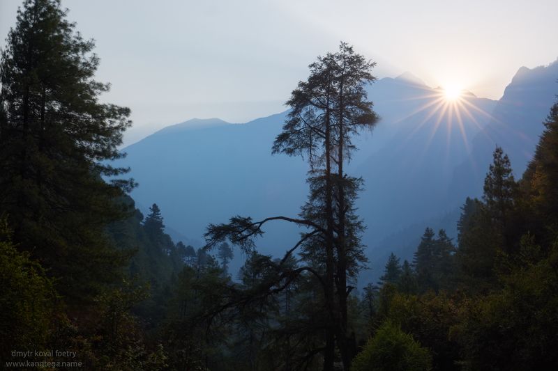 пейзажемагьё, пейзаж-как-виденье Рассветный лес Опаловых гор ...photo preview