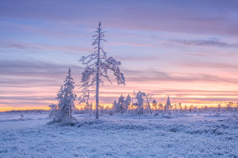 Пришла зима...photo preview