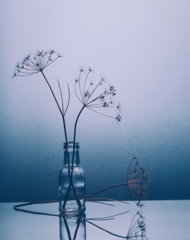 оттенки цвета, натюрморт, светлый фон, фотограф виталий стасов, синий Оттенки цвета.. Синий.photo preview