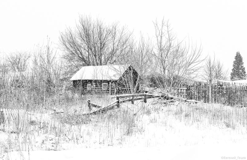 деревня, чб, зима, дом, избушка, урал, графика Избушкаphoto preview