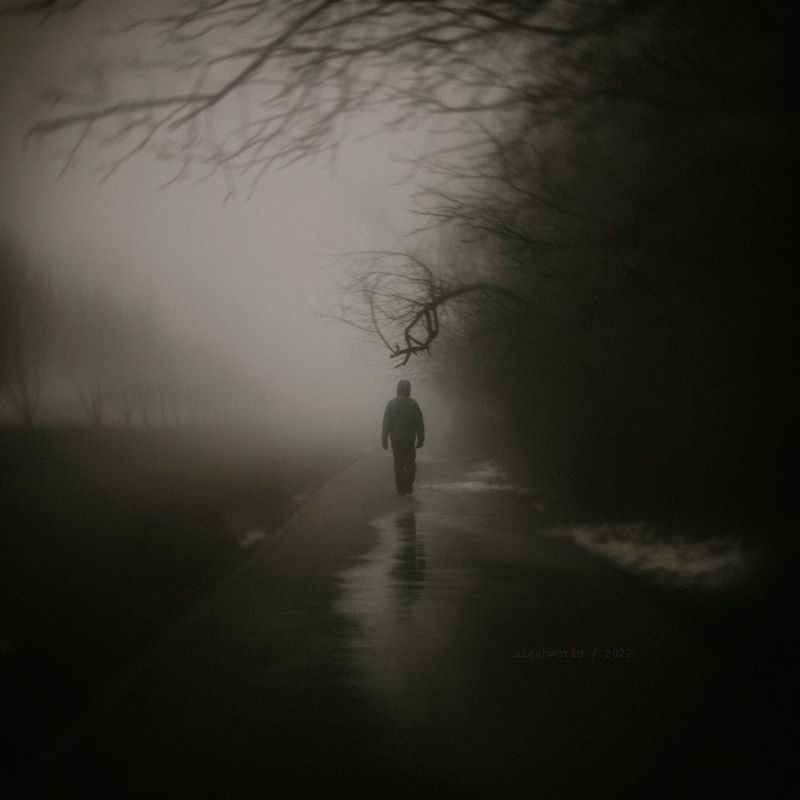 Untitledphoto preview