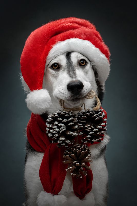 С Наступающим Новым Годом!photo preview