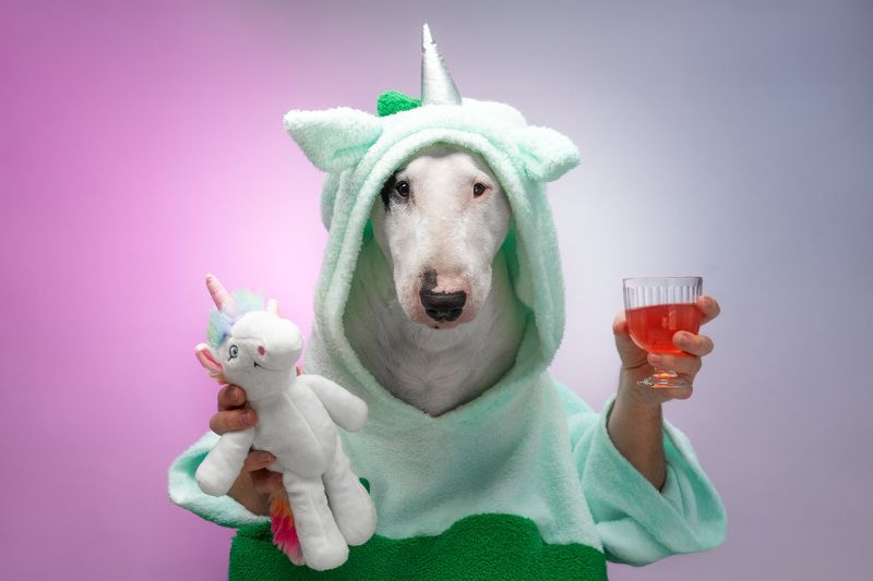 The Unicornphoto preview