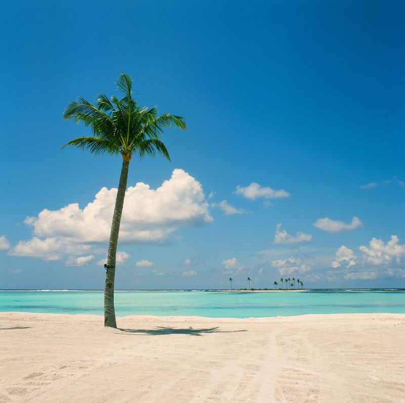 bronica sq-a, bronica, sq-a, zenzabronica, film, плёнка, medium format, m-format, middle, 120 film, 6x6, 120mm, средний формат photo preview