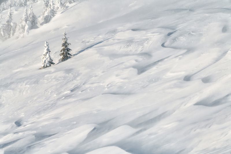 таганай, урал, горы, снег, елки, зима, мороз, челябинская область Две подружки.photo preview