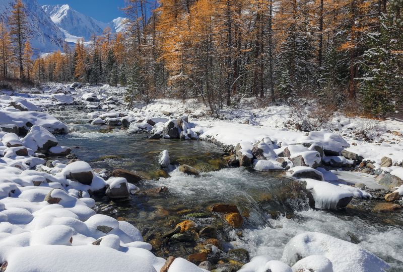 алтай, актру, горный алтай Холодные воды Актруphoto preview